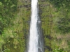 Akaka Falls State Park 09